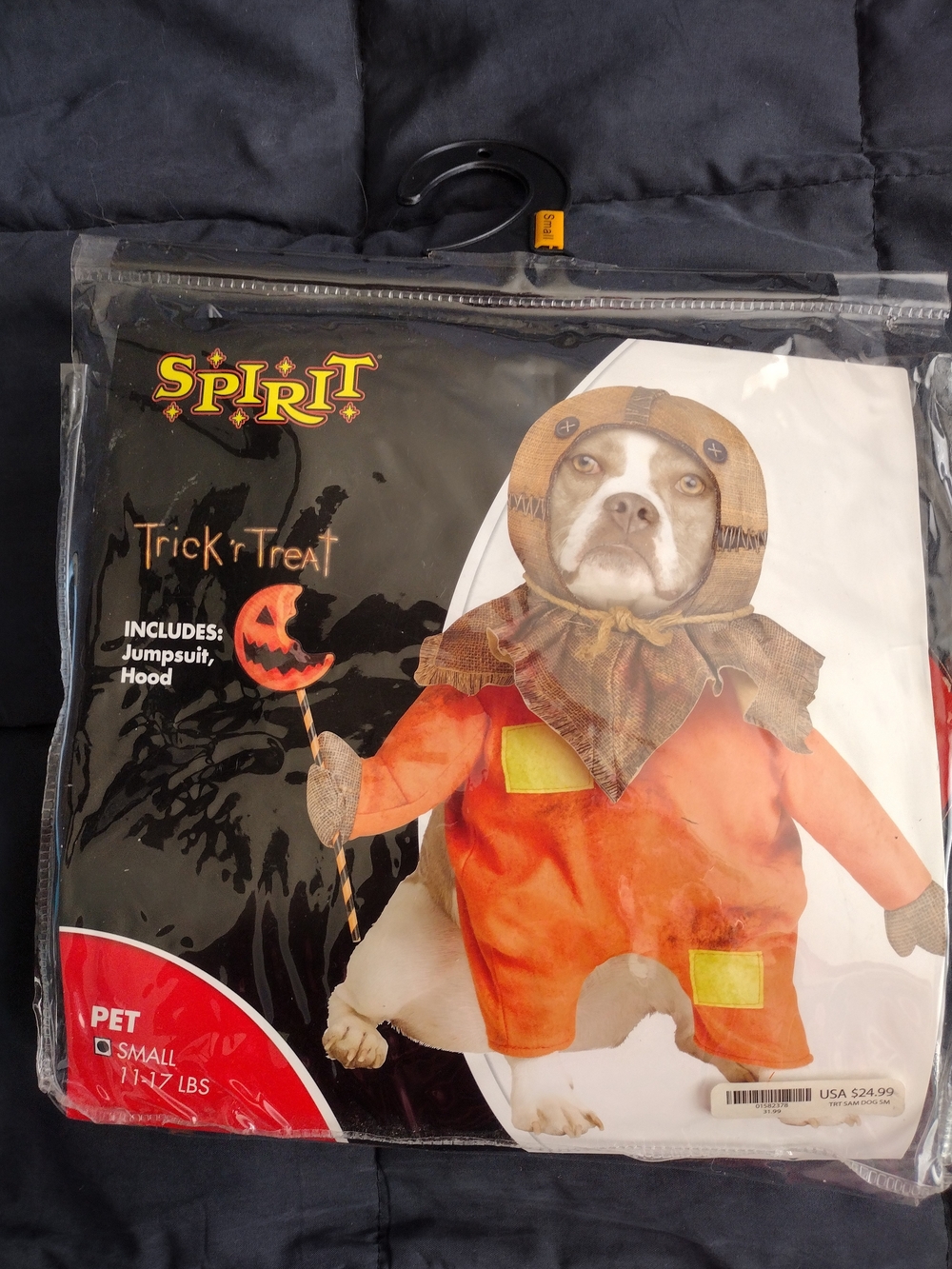 Spirit Halloween Orange Scarecrow Pet Costume - Small Unused
